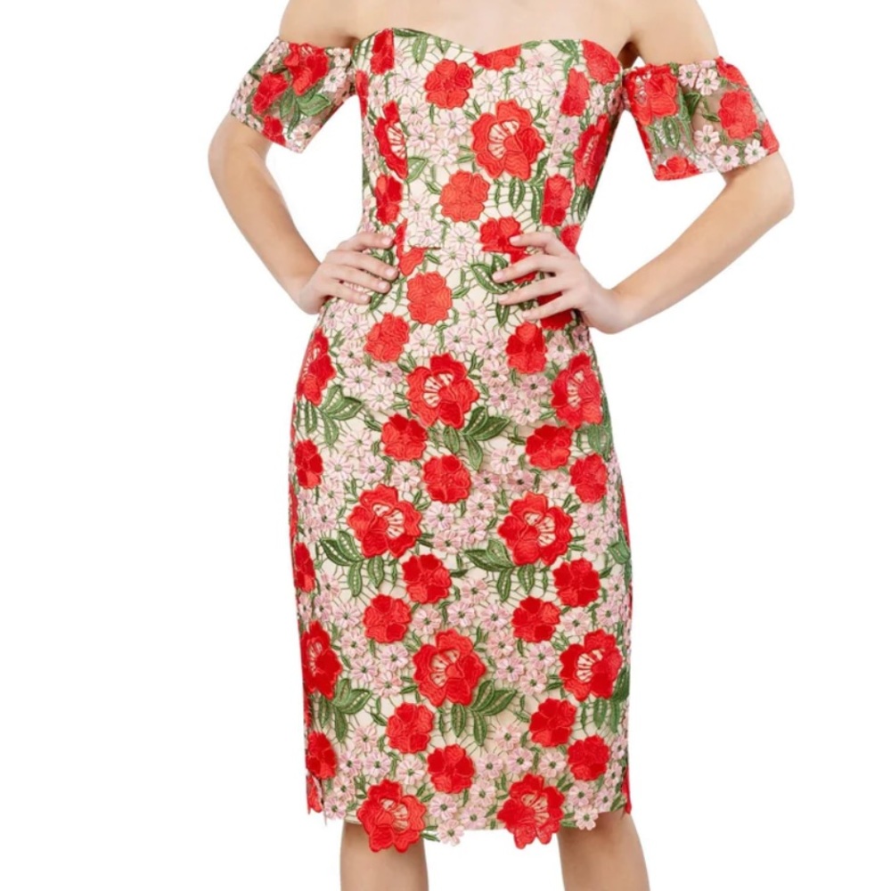 Dress the population rose garden Tara dress nwt size small